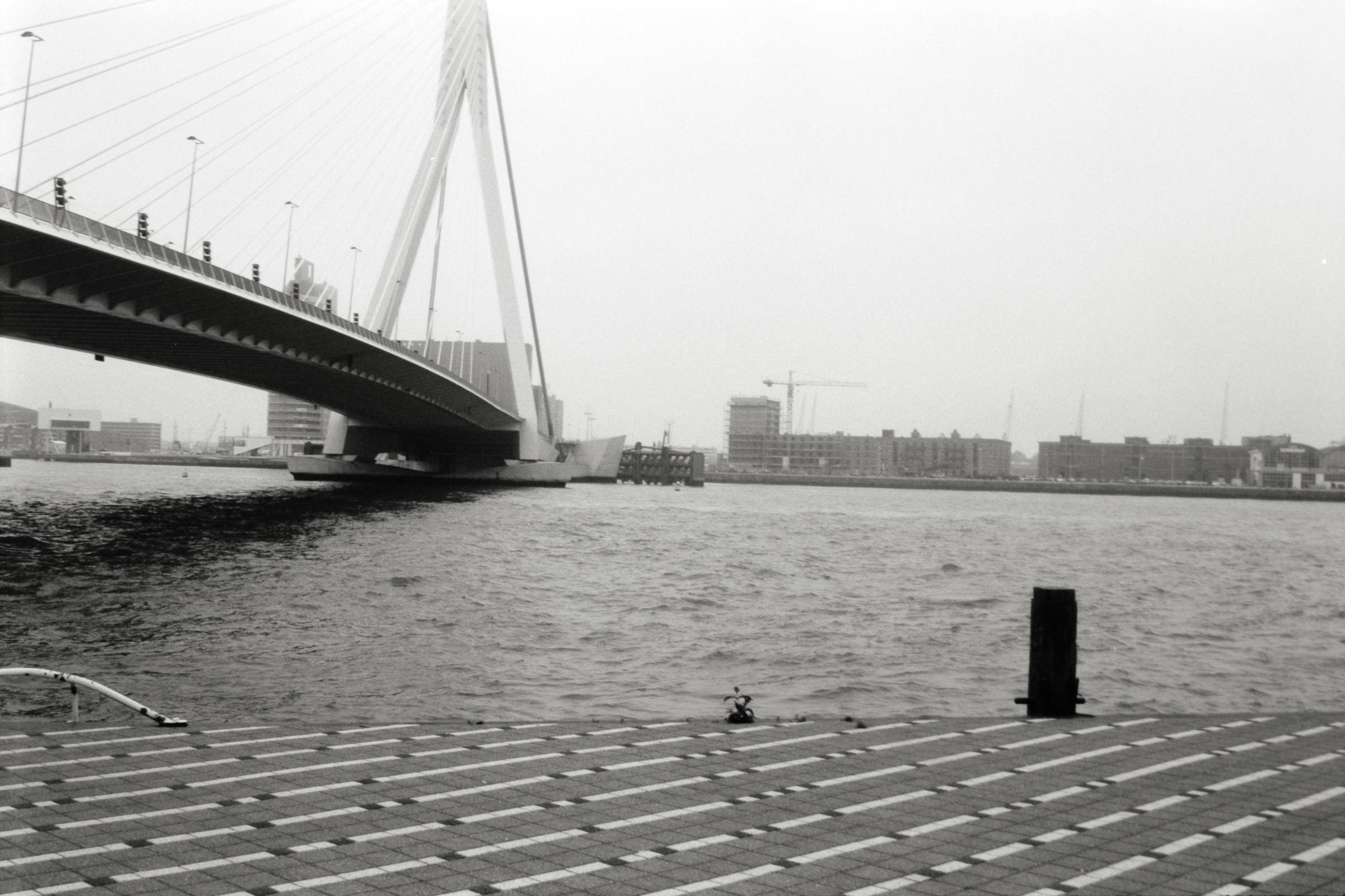 AHP F1998 05 001 sc240818 img30 NLP